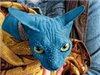 Аватара пользователя